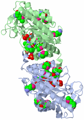 Image Biological Unit 2