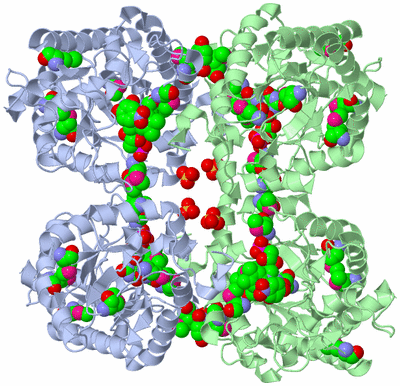 Image Biological Unit 1