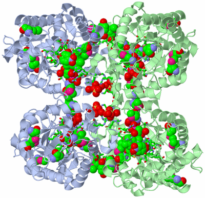 Image Biol. Unit 1 - sites