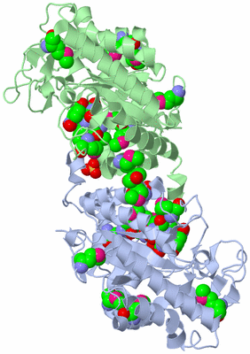 Image Biological Unit 2