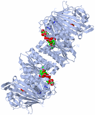 Image Biological Unit 1