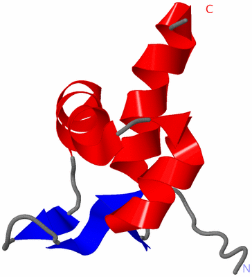 Image NMR Structure - model 1