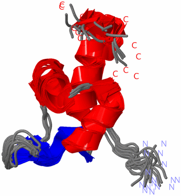 Image NMR Structure - all models