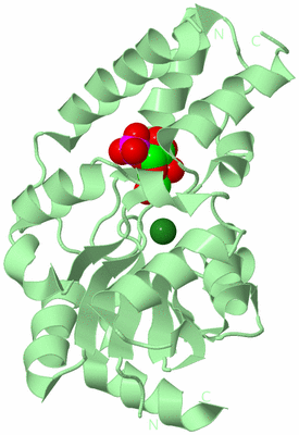 Image Biological Unit 2