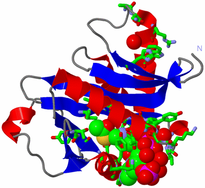 Image Asym./Biol. Unit - sites