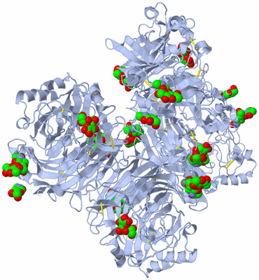 Image Biological Unit 1