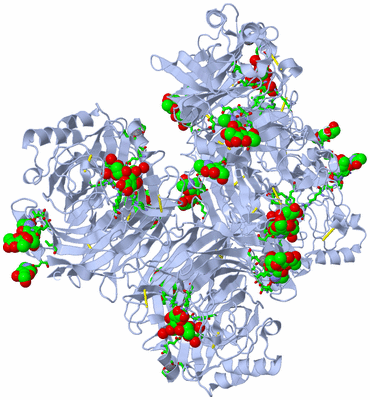 Image Biol. Unit 1 - sites