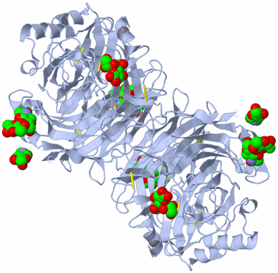 Image Biological Unit 2