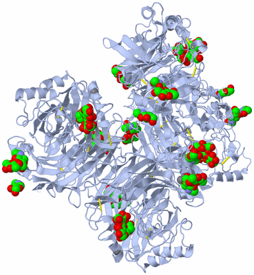 Image Biological Unit 1