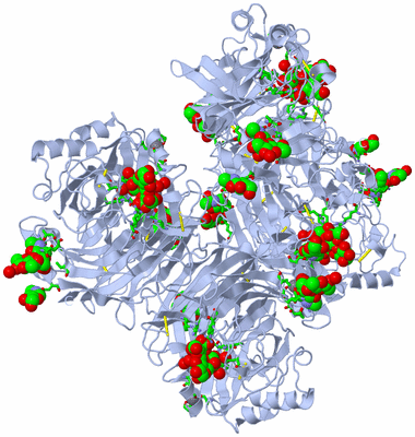 Image Biol. Unit 1 - sites