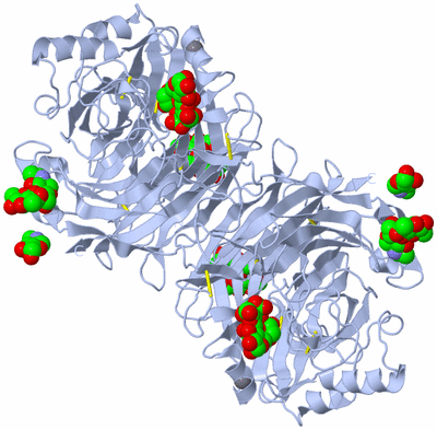 Image Biological Unit 2