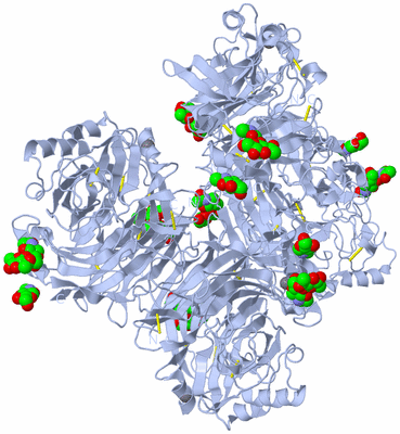 Image Biological Unit 1