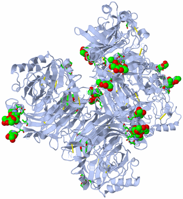 Image Biol. Unit 1 - sites