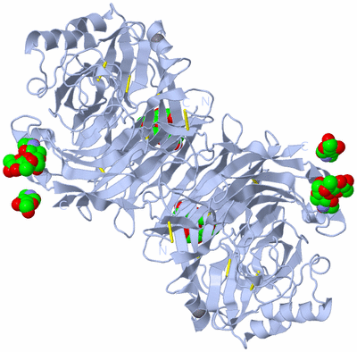 Image Biological Unit 2