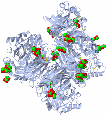 Image Biological Unit 1