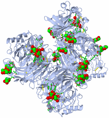 Image Biol. Unit 1 - sites