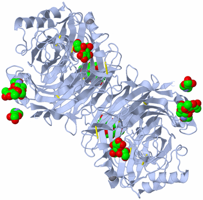 Image Biological Unit 2