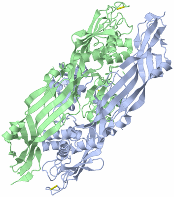 Image Asym./Biol. Unit