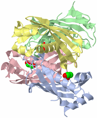 Image Asym./Biol. Unit