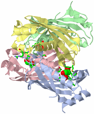 Image Asym./Biol. Unit - sites