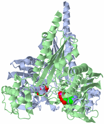 Image Asym./Biol. Unit