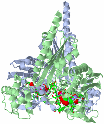 Image Asym./Biol. Unit - sites