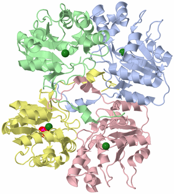 Image Asym./Biol. Unit