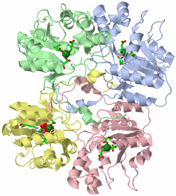 Image Asym./Biol. Unit - sites