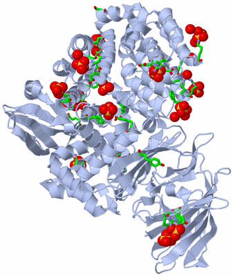 Image Biol. Unit 1 - sites