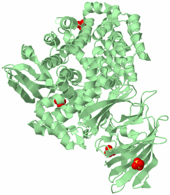 Image Biological Unit 2