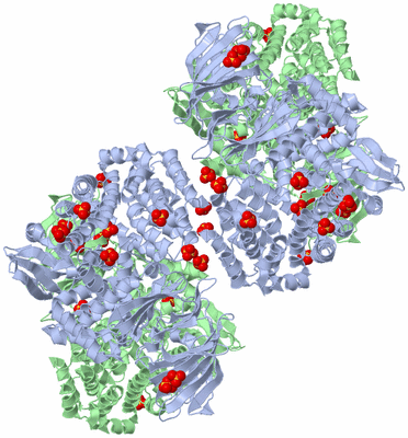 Image Biological Unit 3