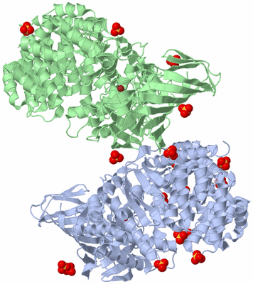 Image Biological Unit 4