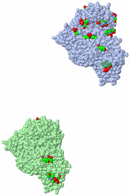 Image Asym. Unit - sites