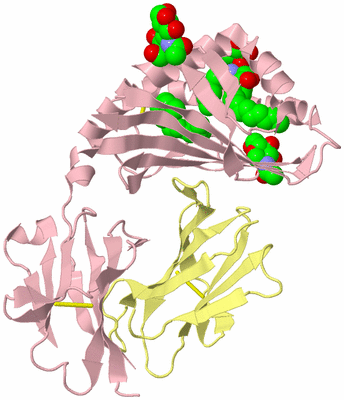 Image Biological Unit 2