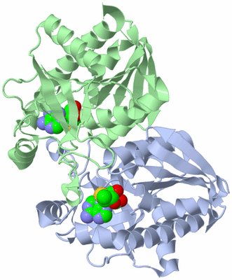 Image Asym./Biol. Unit