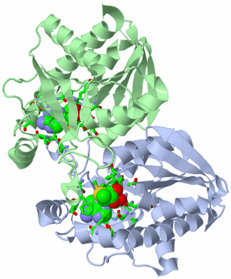 Image Asym./Biol. Unit - sites