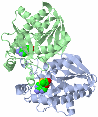 Image Asym./Biol. Unit