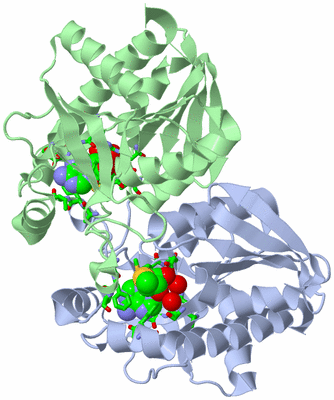 Image Asym./Biol. Unit - sites