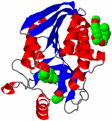 Image Asymmetric Unit