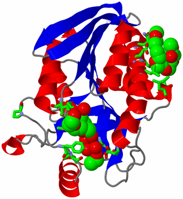 Image Asym. Unit - sites