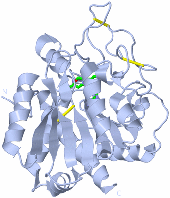 Image Biol. Unit 1 - sites