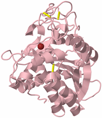 Image Biological Unit 3