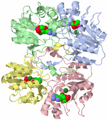 Image Asym./Biol. Unit