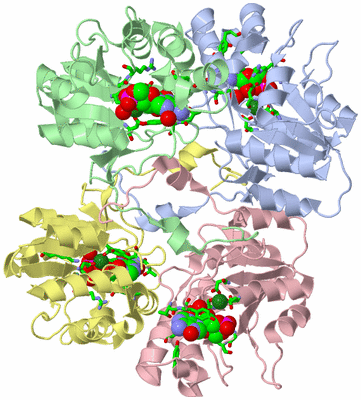 Image Asym./Biol. Unit - sites