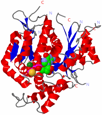 Image Asym./Biol. Unit