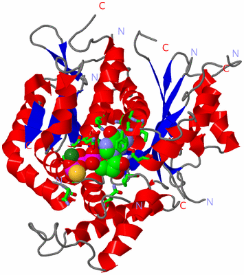 Image Asym./Biol. Unit - sites