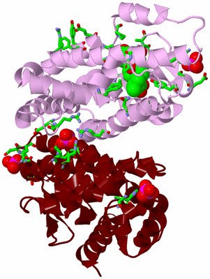 Image Asym./Biol. Unit - sites