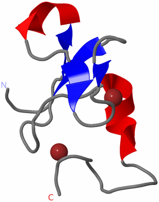 Image NMR Structure - model 1