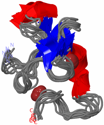 Image NMR Structure - all models