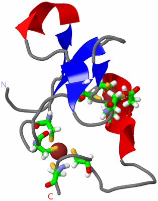 Image NMR Structure - model 1, sites